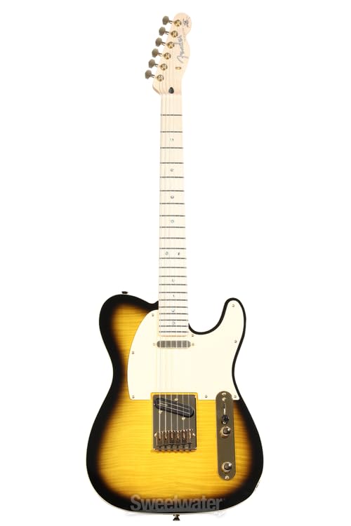Amazon.com: Fender Artist Series 255202532 Richie Kotzen